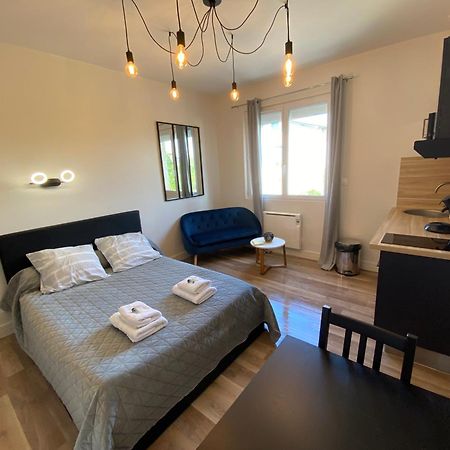 Au 3 Rue Manhes Apartment Albi Exterior foto