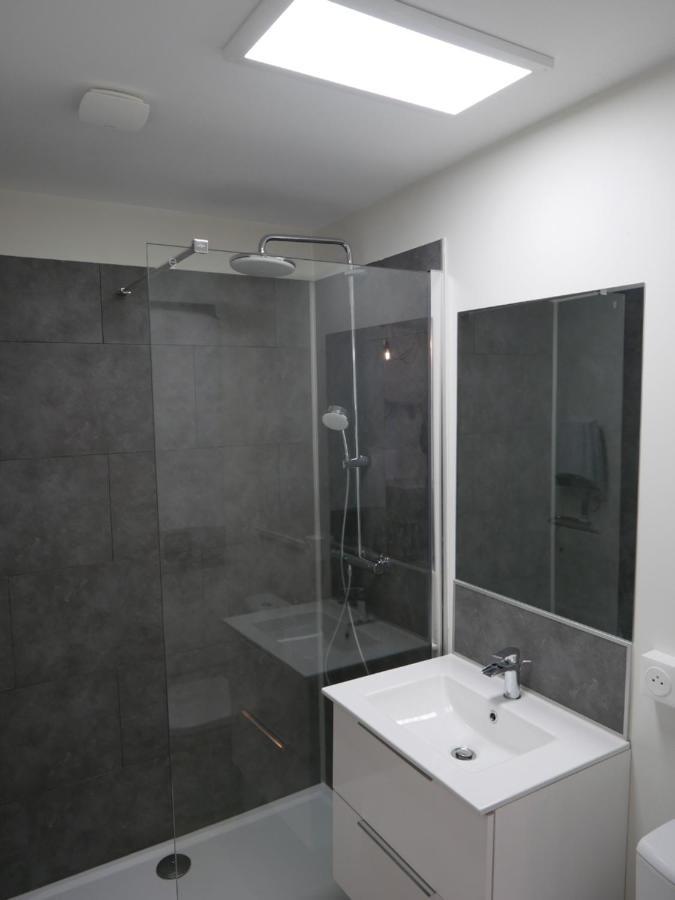 Au 3 Rue Manhes Apartment Albi Exterior foto